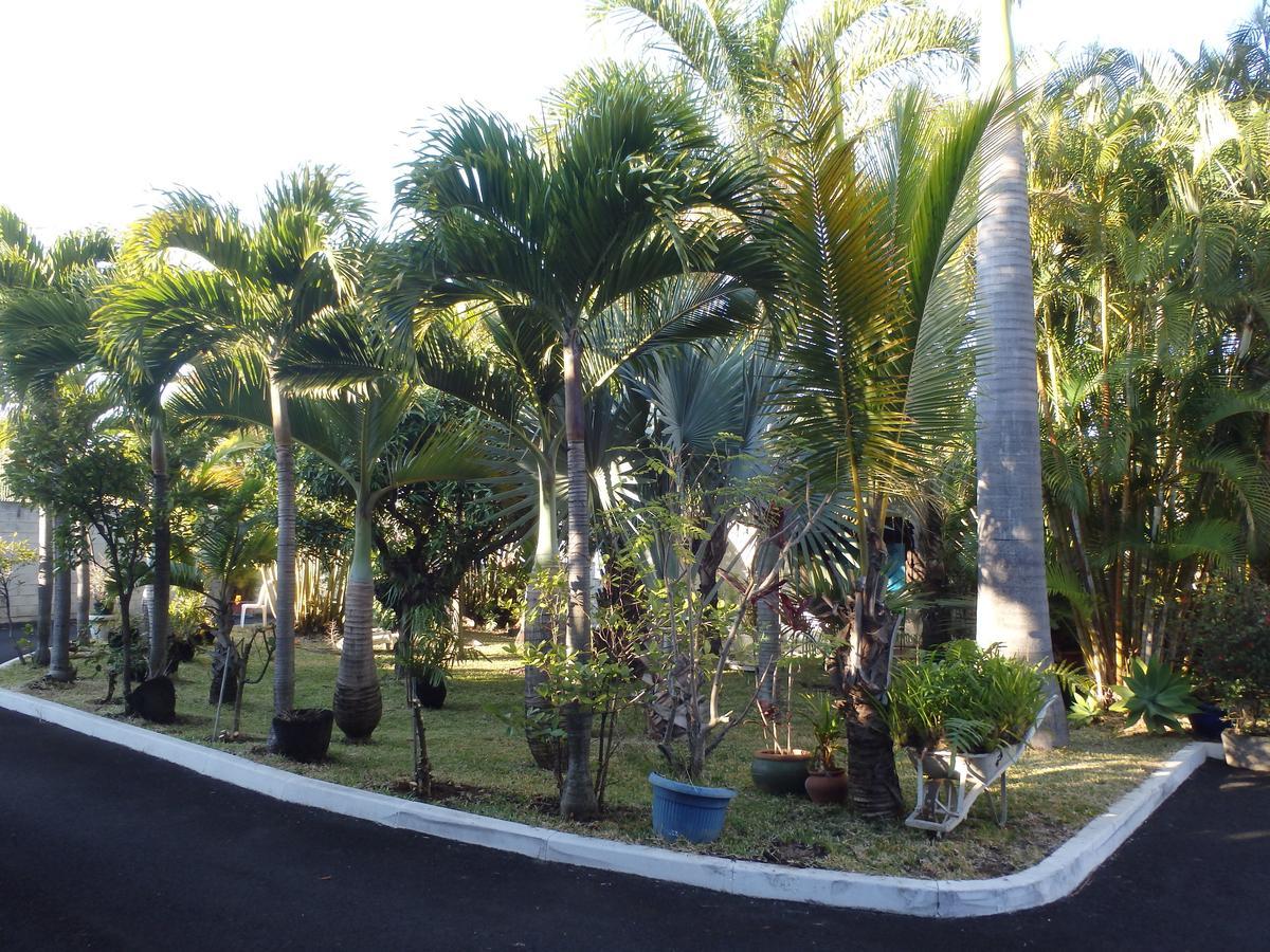 Hotel Residence Le Phoenix Saint Pierre Exterior photo